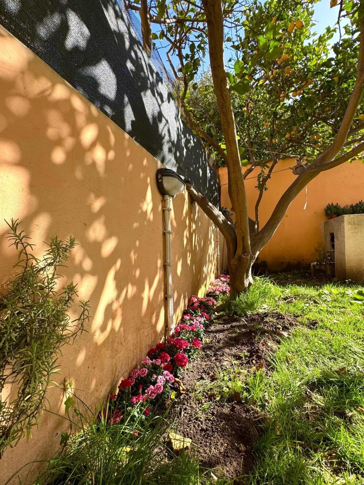 Mareporto House Apartment Fiumicino Exterior photo